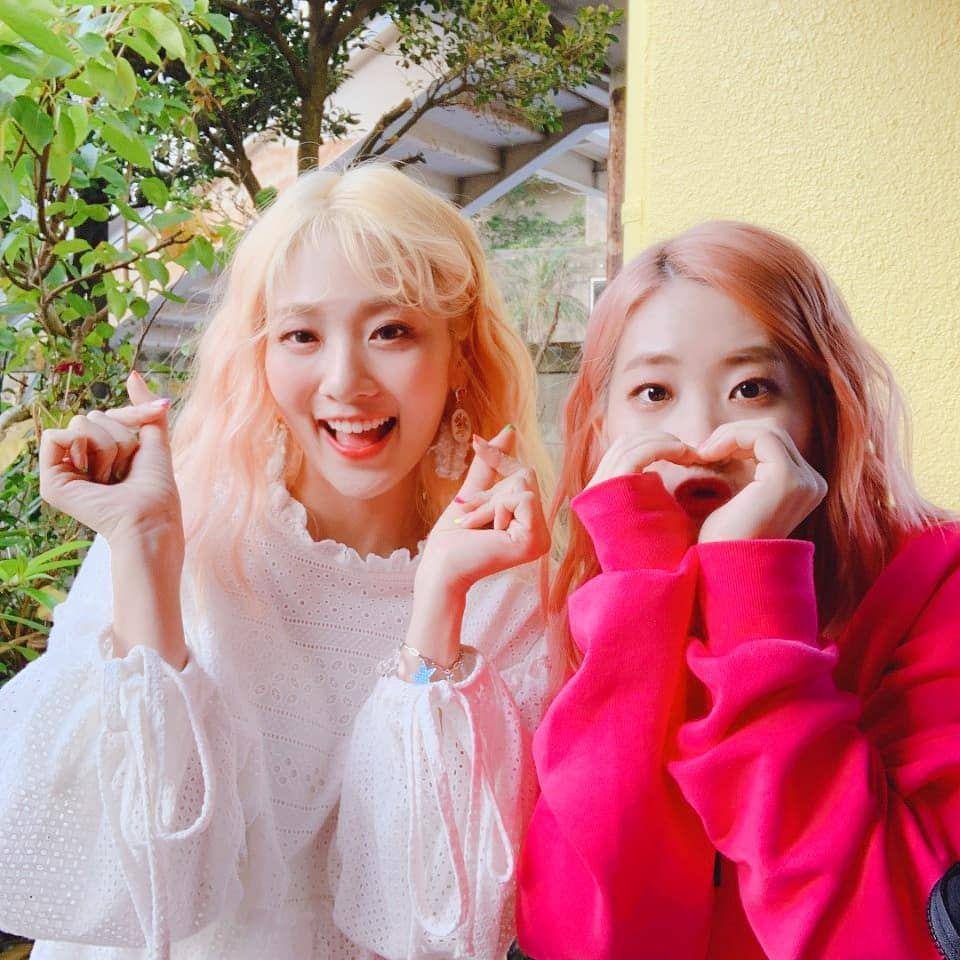 Instagram.com/official_bol4