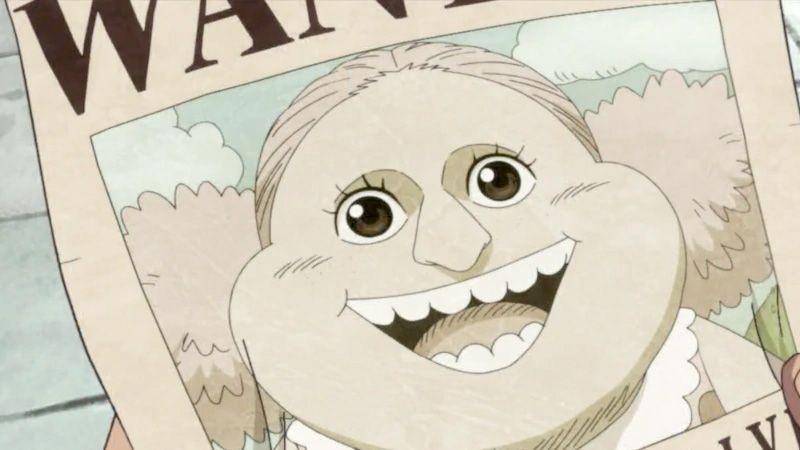 onepiece.fandom.com