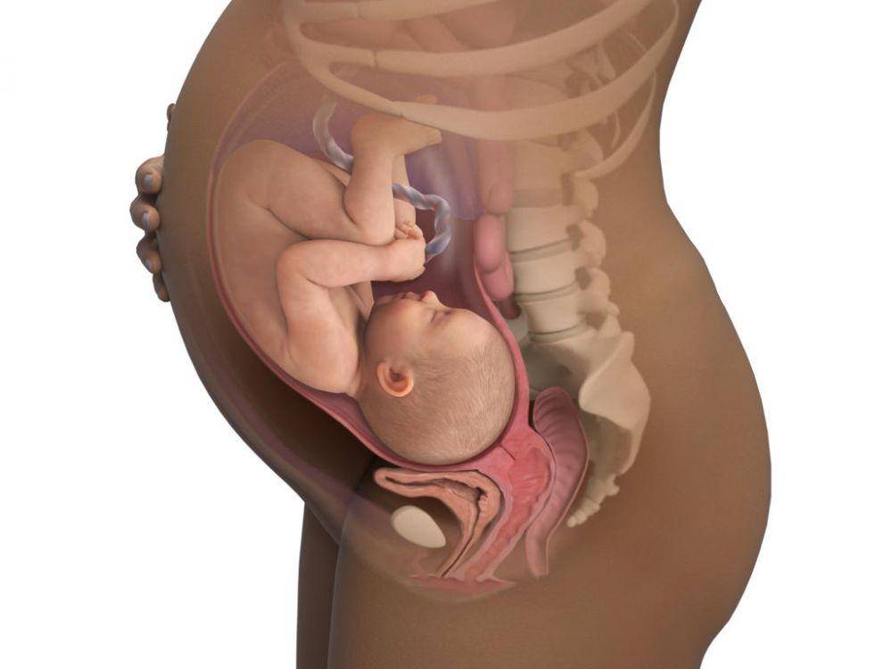 babycenter.com