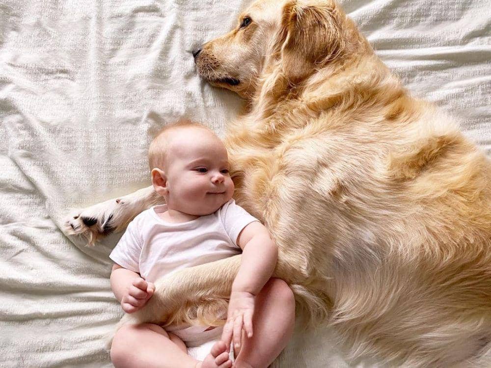 instagram.com/marshal_thegoldenr