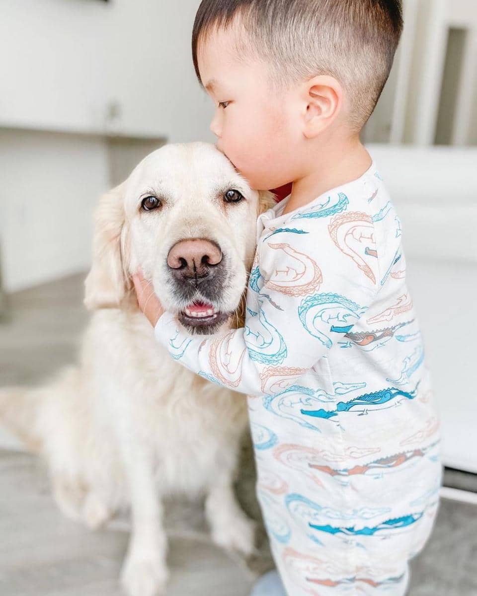 instagram.com/joliegoldenretriever