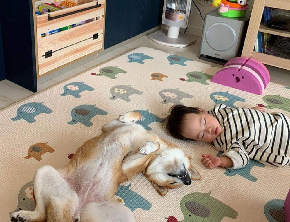instagram.com/momohana2201