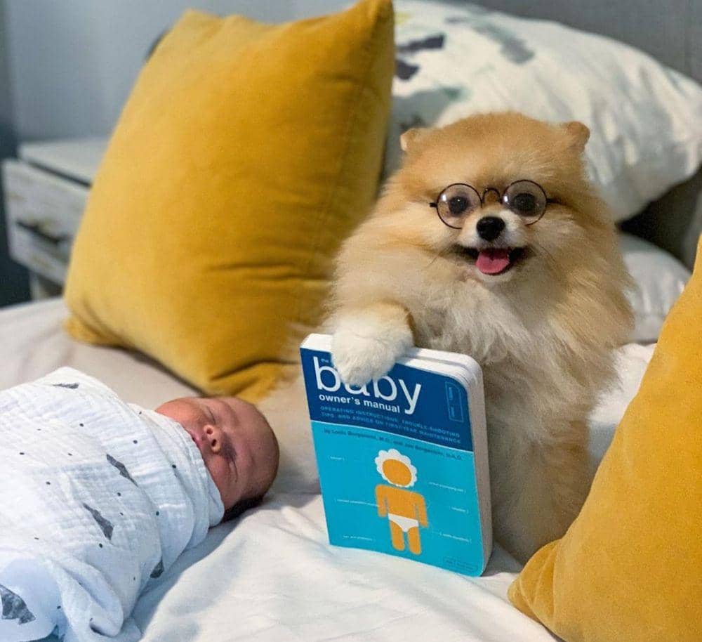 instagram.com/roolepom