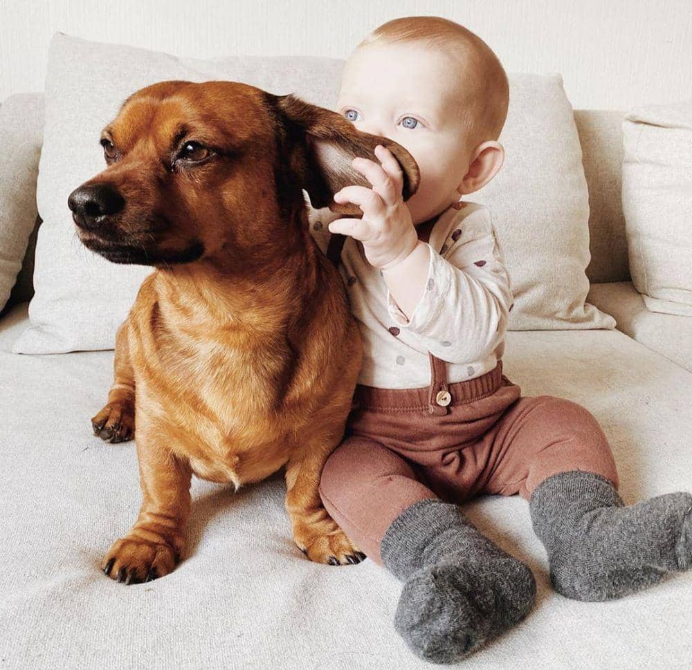 instagram.com/douggieandnorbert