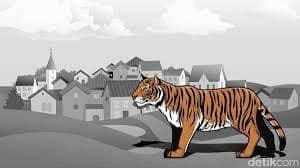 Gambar harimau (IDN Times/ ilustrasi)