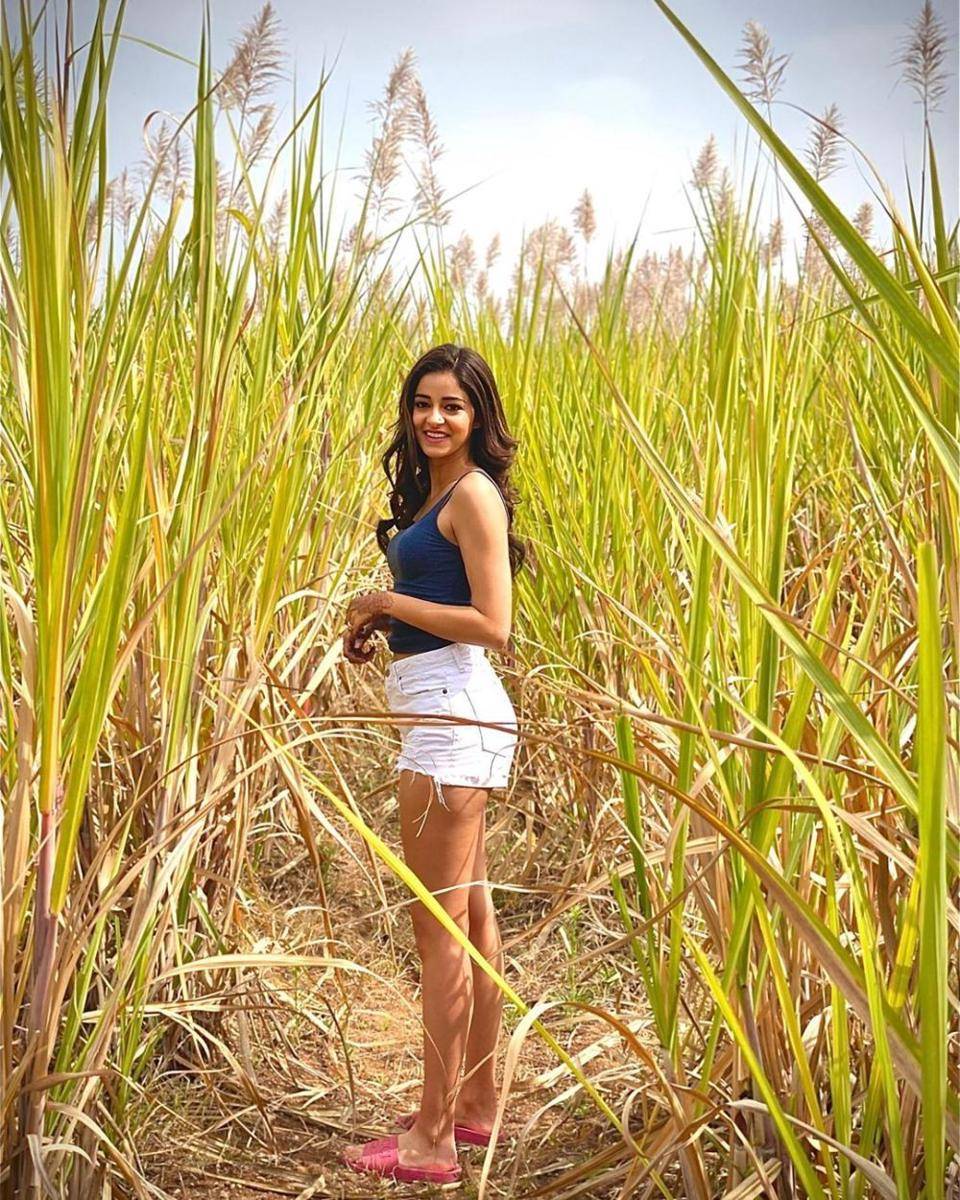 instagram.com/ananyapanday