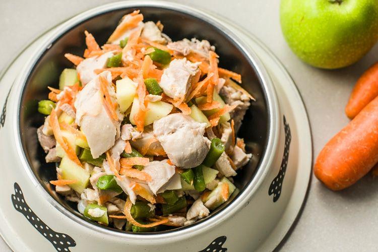 5 Resep Makanan Anjing Buatan Rumahan, Seperti Makanan Manusia
