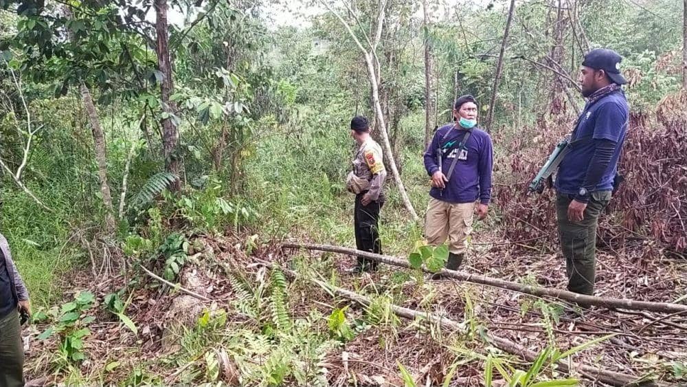 Petugas gabungan yang memasang kamera trap (IDN Times/ istimewa)
