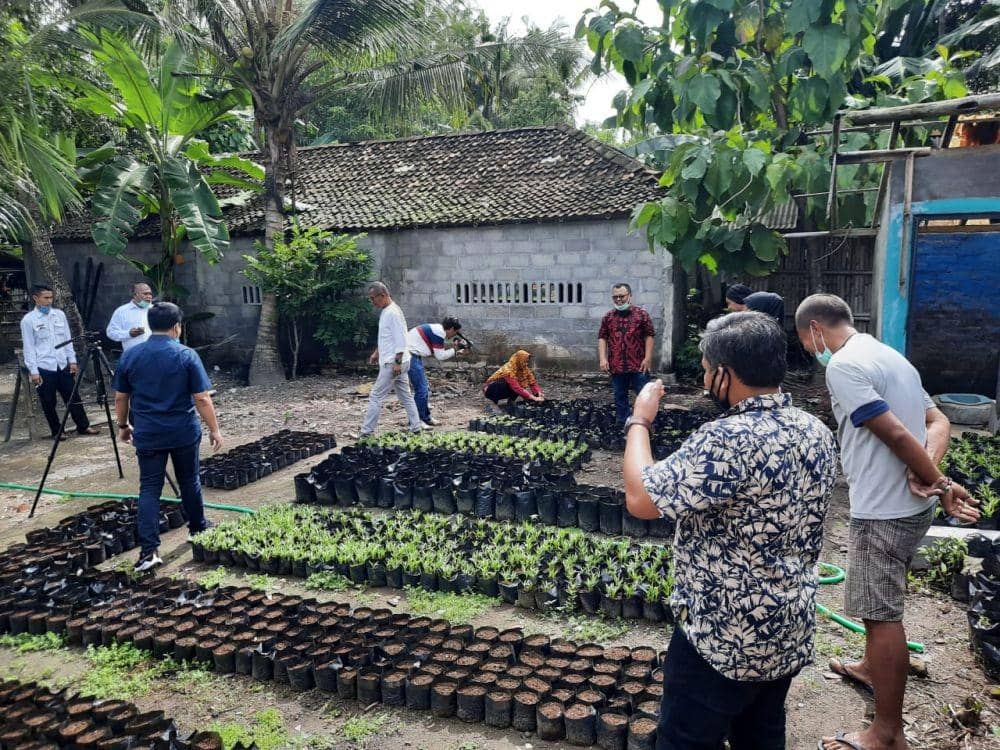 Bibit sayur mayur yang akan ditanam di pekarangan rumah warga untuk memenuhi kebutuhan pangan saat pandemi COVID-19. IDN Times/Istimewa