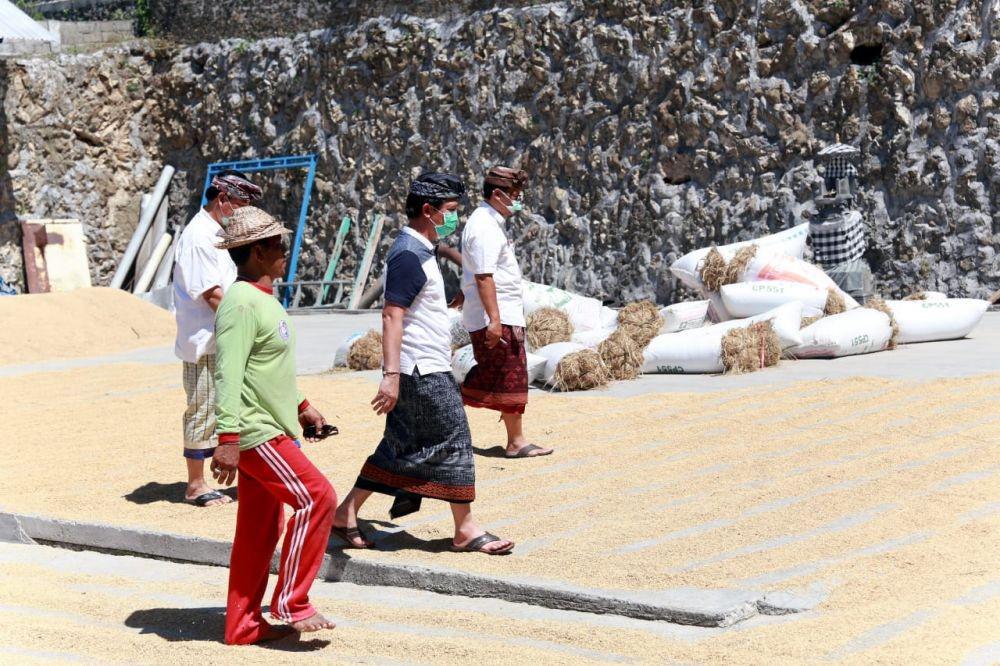 Suwirta Pantau Stok Beras Lokal di Klungkung, Antisipasi Jadi Lockdown
