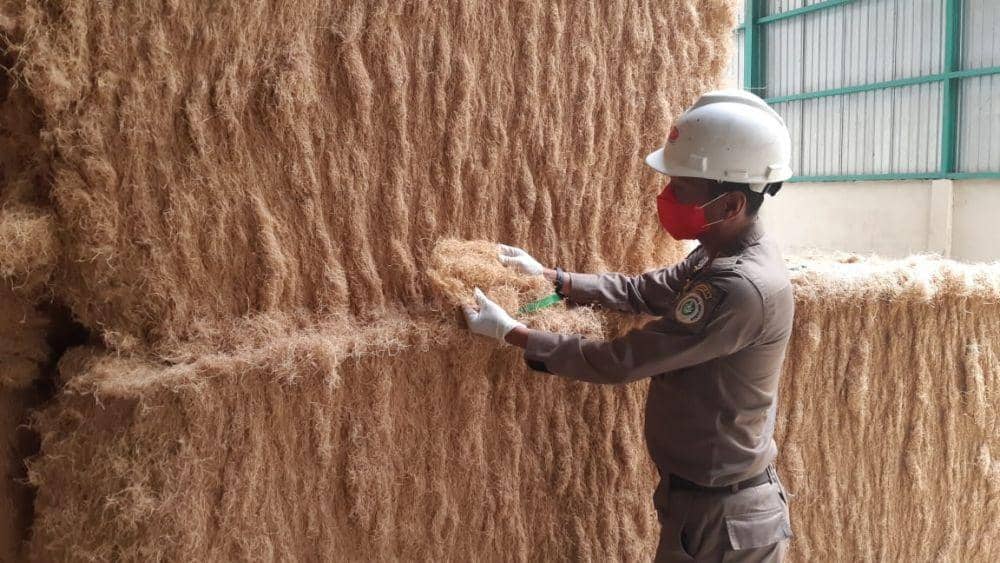Hikmah Lockdown Wuhan Berakhir, Ekspor Jankos Sumut Kembali Berdenyut