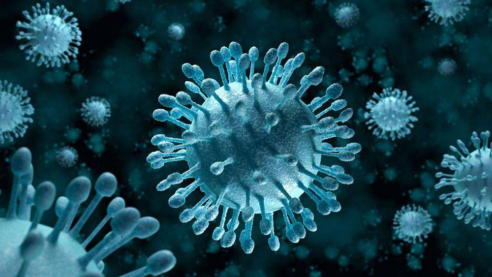 sciencemag.org