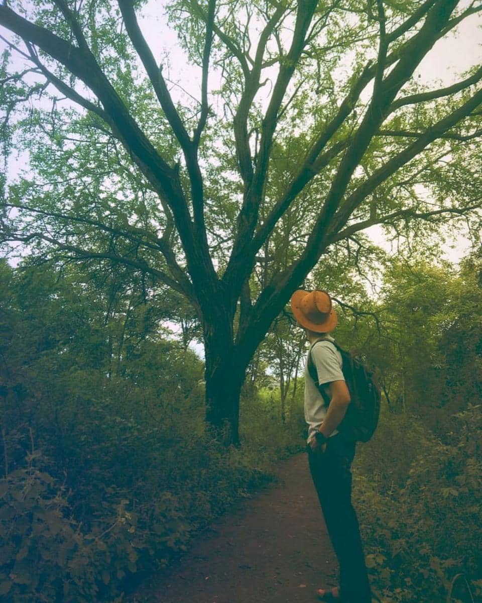9 Hutan yang Dikenal Paling Angker di Indonesia, Kamu Pernah ke S | IDN ...