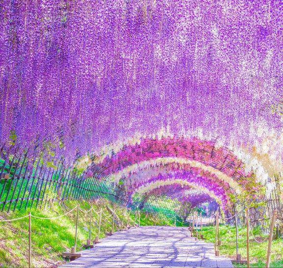 Instagram.com/traveler_sui