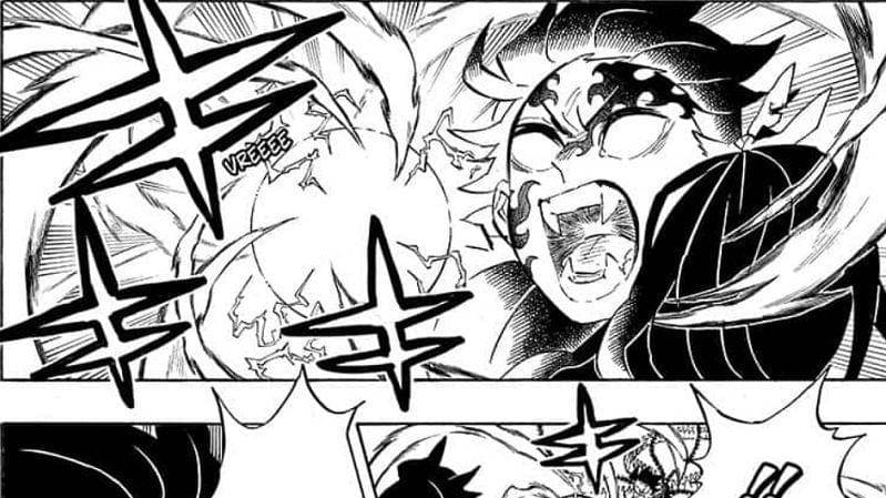 Iblis Tanjiro. (Dok. Shueisha/Demon Slayer: Kimetsu no Yaiba)