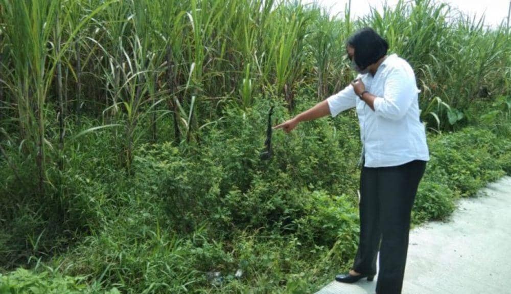 Polisi melakukan olah TKP. IDN Times/Istimewa