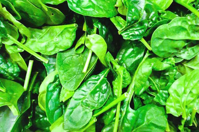 unsplash.com/Nathan Nugent