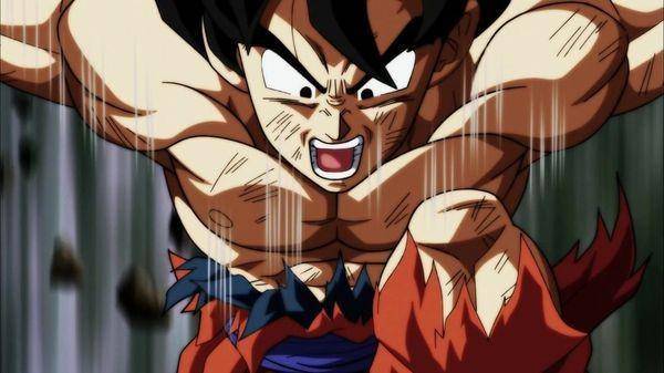 Instagram.com/dragonballsuper