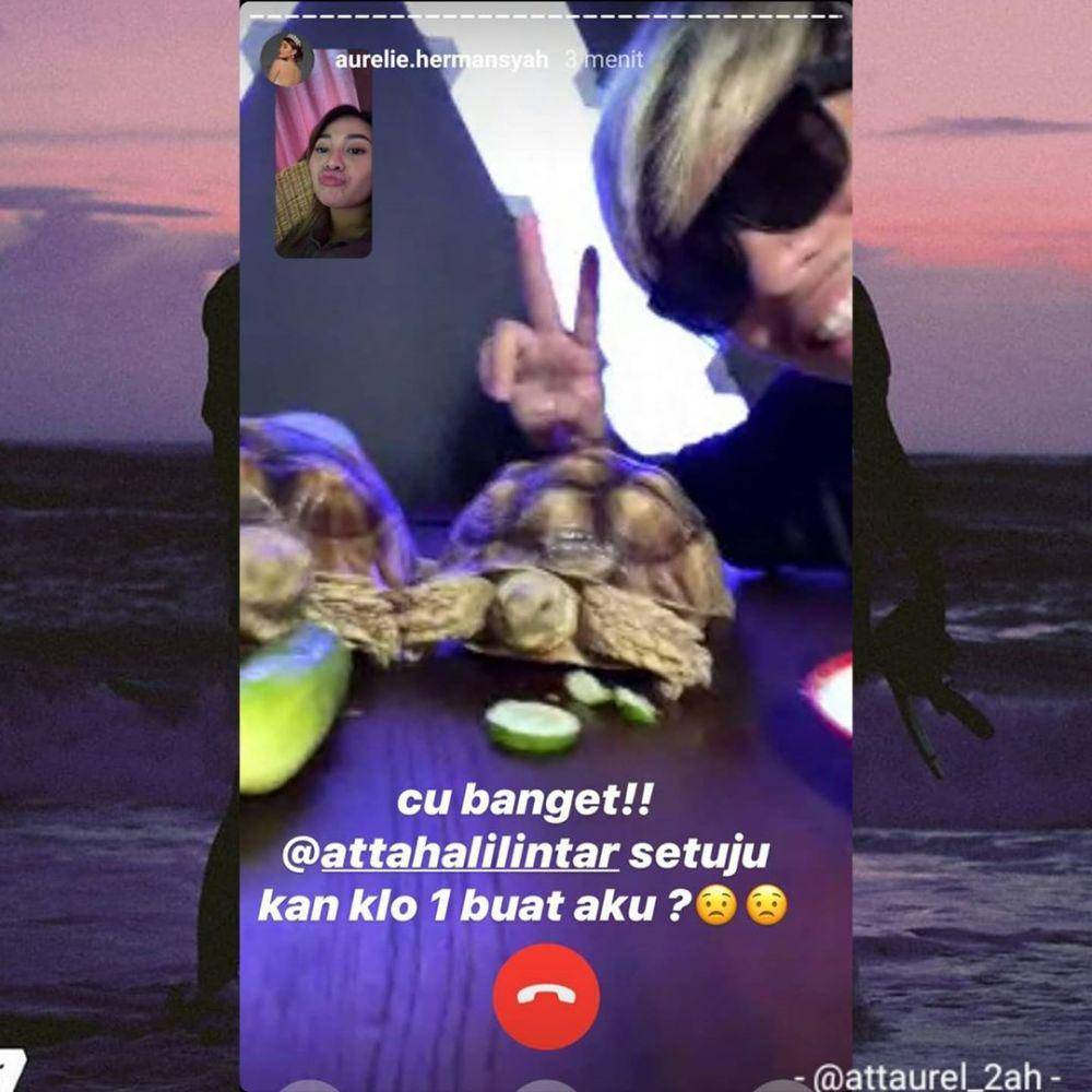 instagram.com/attaurel_2ah