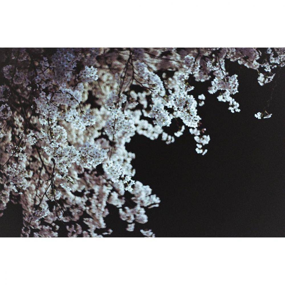 instagram.com/y8n_l8ks_at