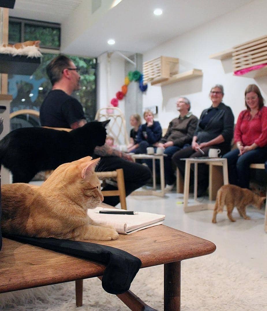 instagram.com/kittea_sf