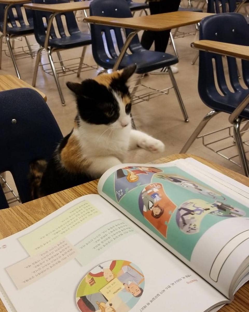 instagram.com/genuinlywona