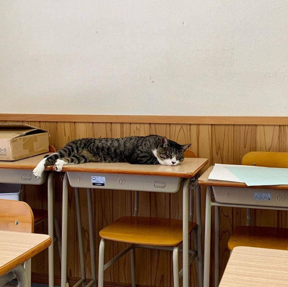 instagram.com/takitaka