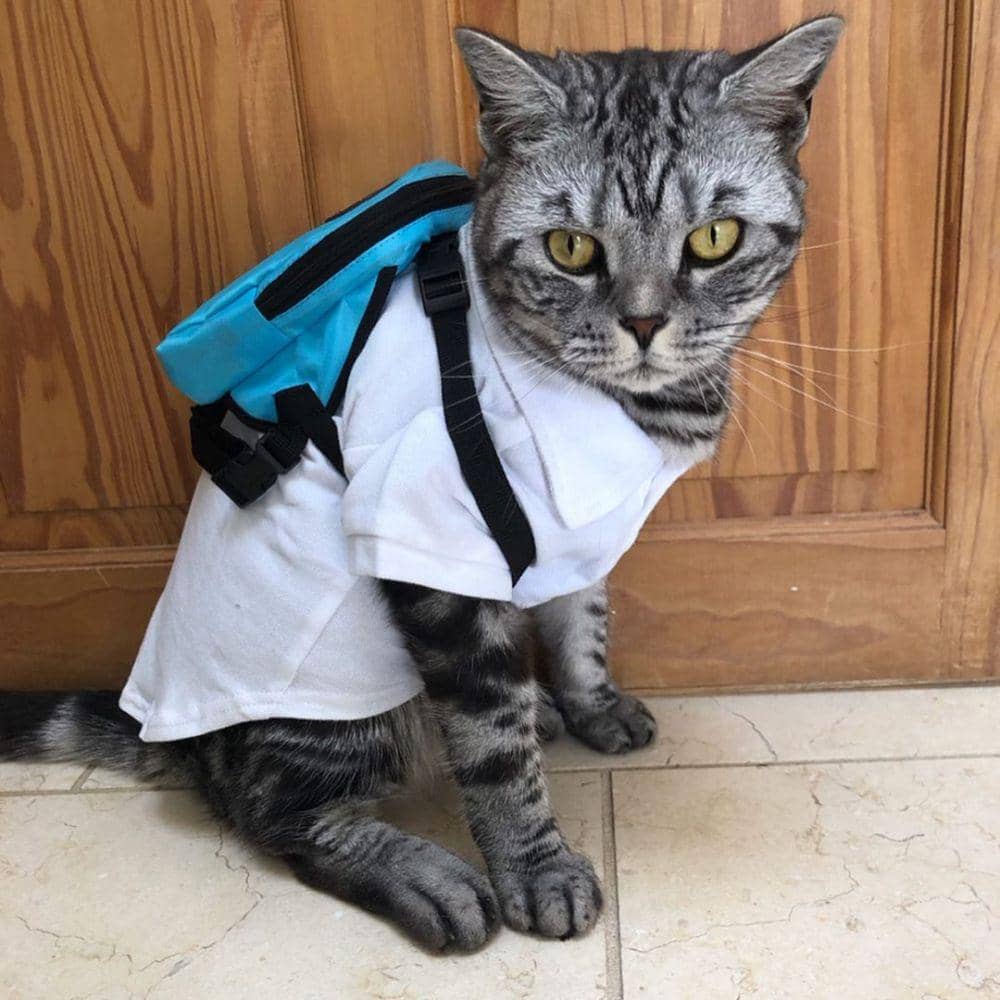 instagram.com/mad_marvellous_marvin