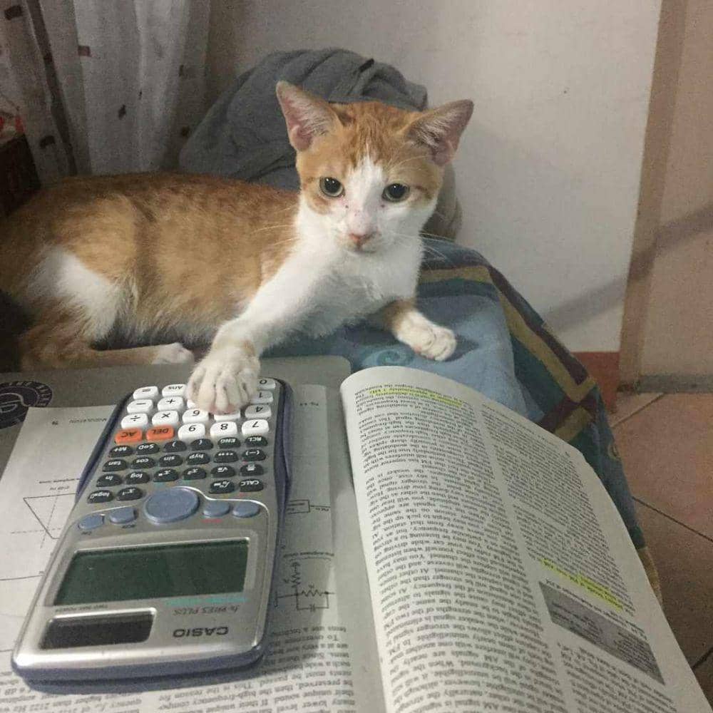 instagram.com/jhemherlynandmessy