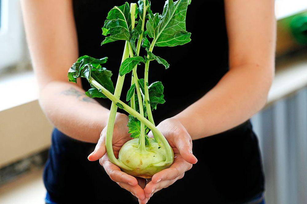 Canolaeatwell.com