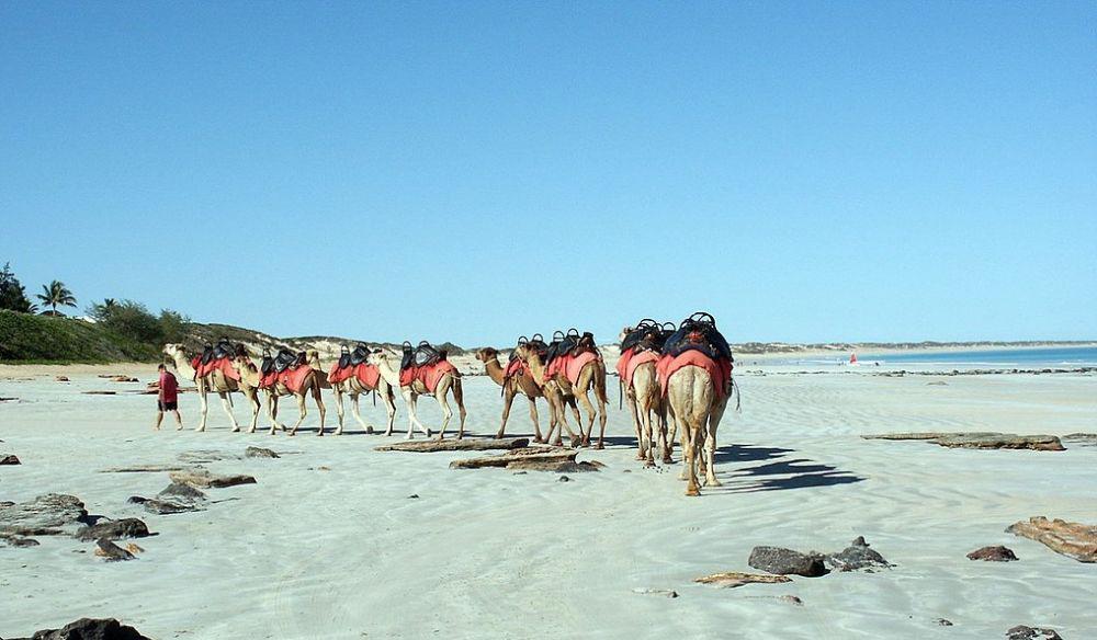 5 Pantai Terbaik di Australia, Pilihan Destinasi buat Liburanmu Nanti!