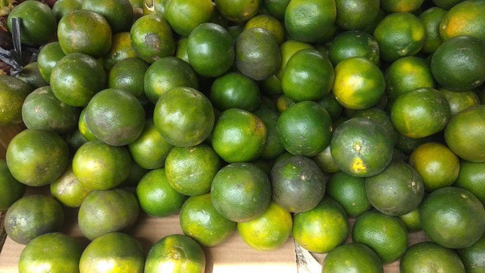 Buah jeruk yang dibagikan masyarakat. IDN Times/Imron