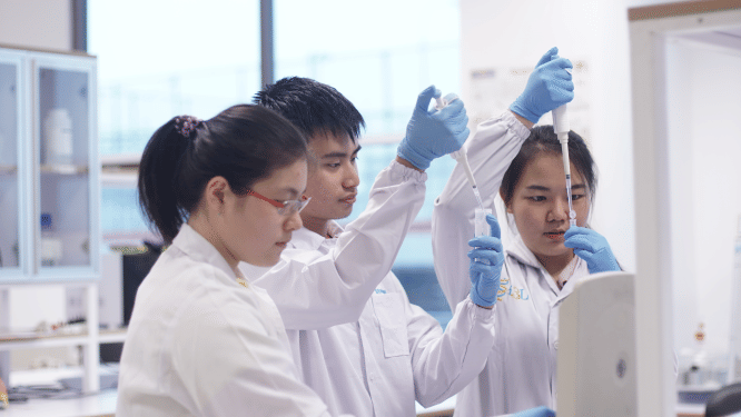 Relawan Ikut Sukseskan Gerakan Indonesia PASTI BISA