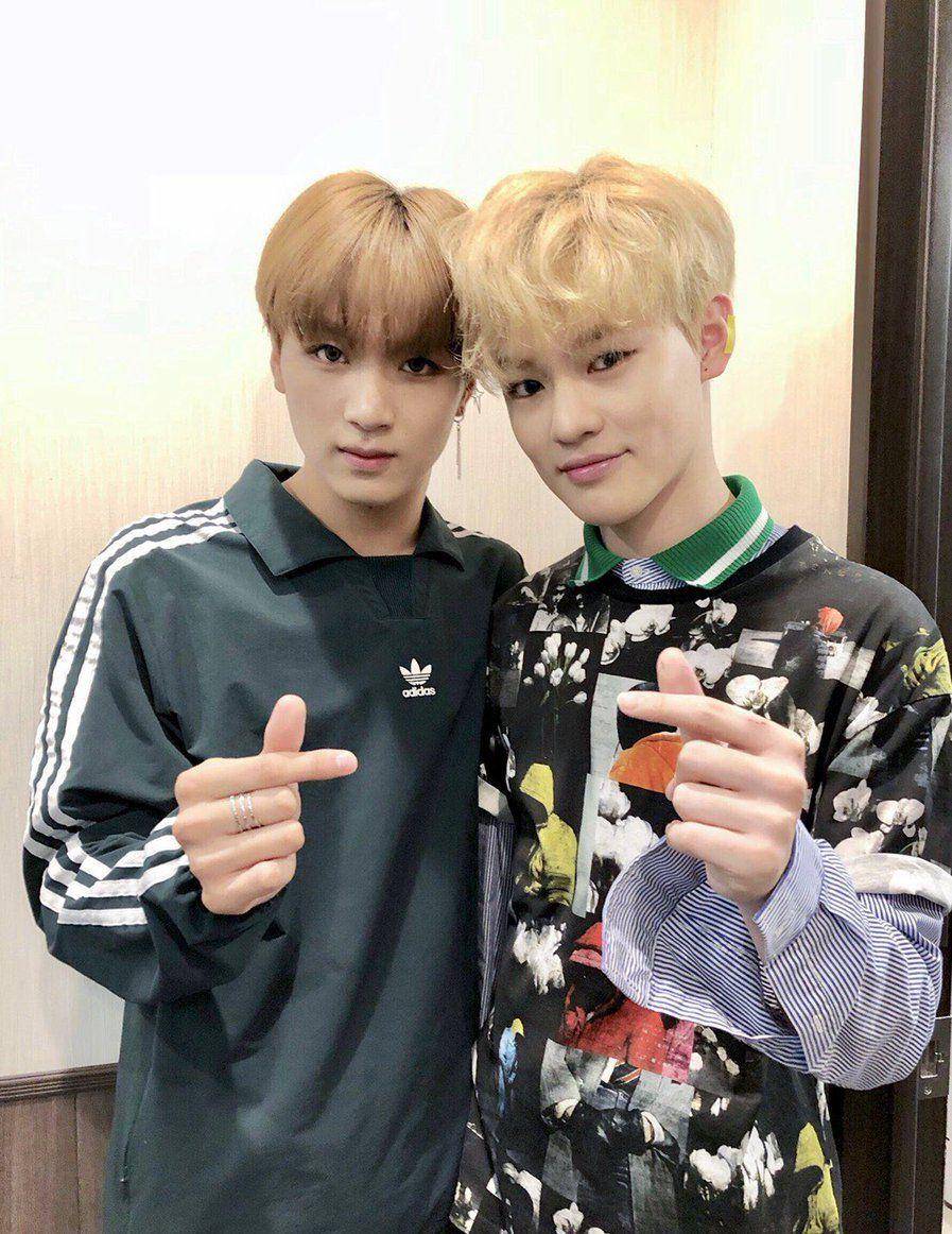 twitter.com/chenlefluffy
