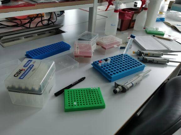 Bio Farma Bantu Biaya Produksi, Ini Alokasi Dana Indonesia PASTI BISA