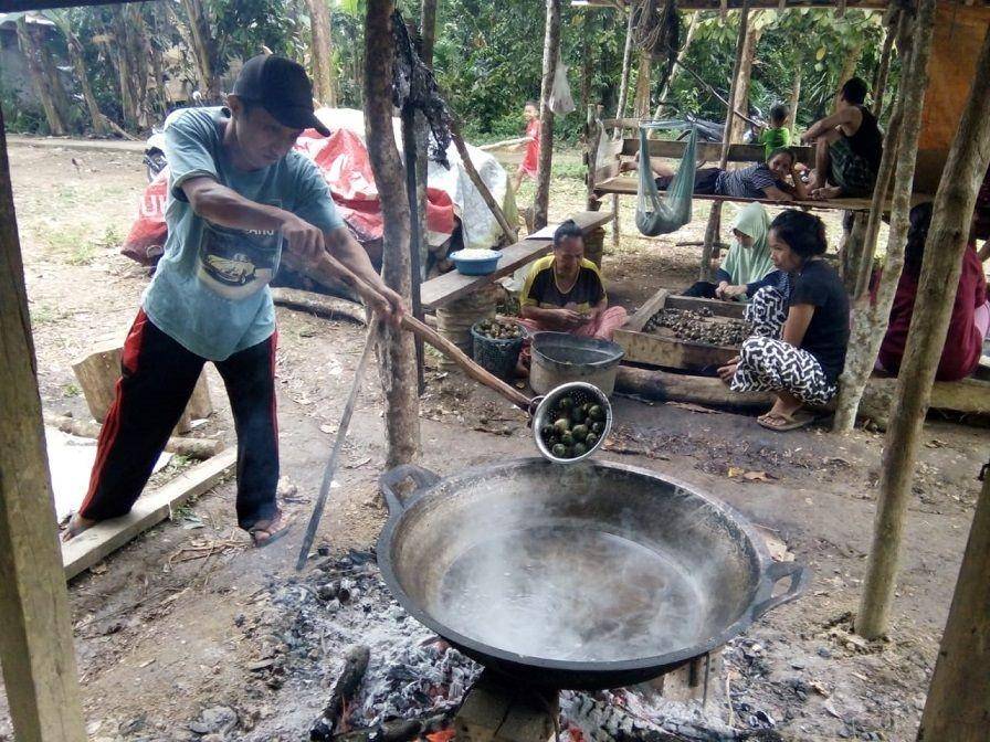 Proses memasak buah beluluk menjadi kolang-kaling/IDN Times/Dokumentasi Adi Jambi Tulo