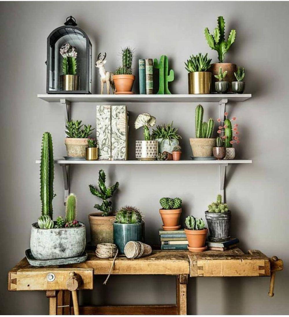instagram.com/perfect.homess
