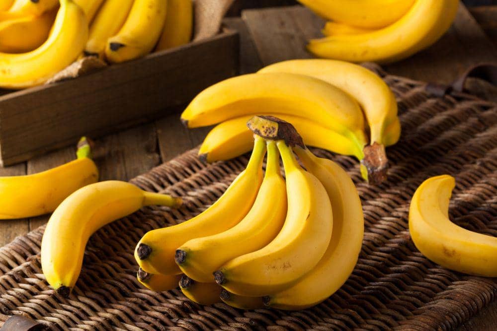 jasminealimentos.com