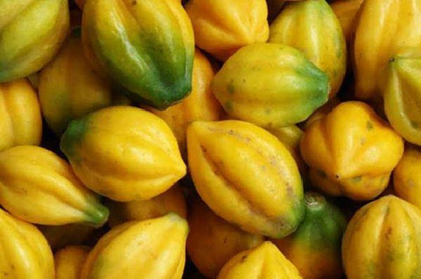 5 Fakta Buah Carica, Buah Langka yang Segar untuk Buka Puasa
