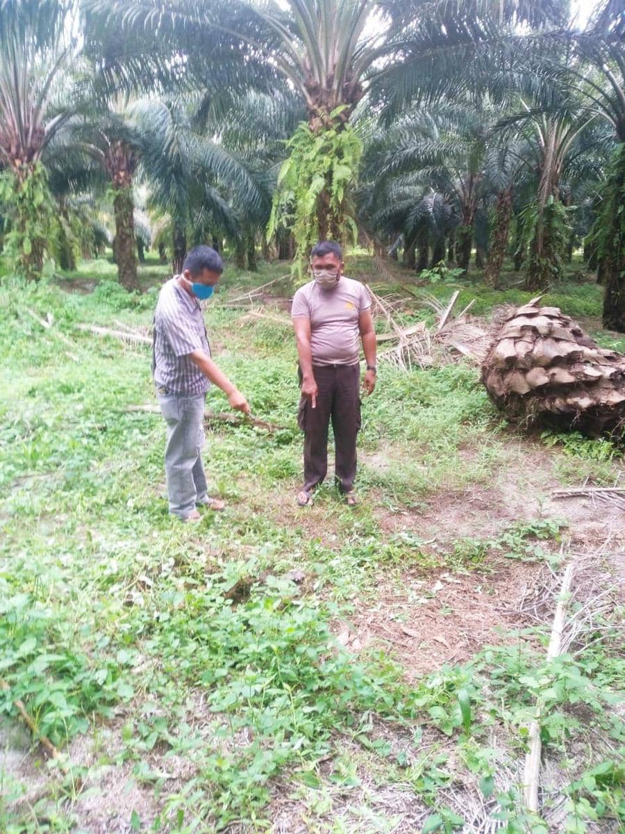 Polisi melakukan olah perkara di TKP (Dok.IDN Times/Istimewa)