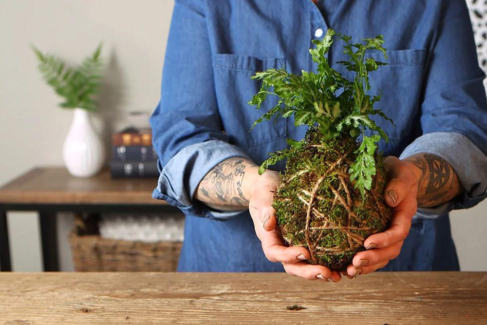 9 Hal Tentang Kokedama, Dekorasi Imut ala Jepang Buat yang Minimalis
