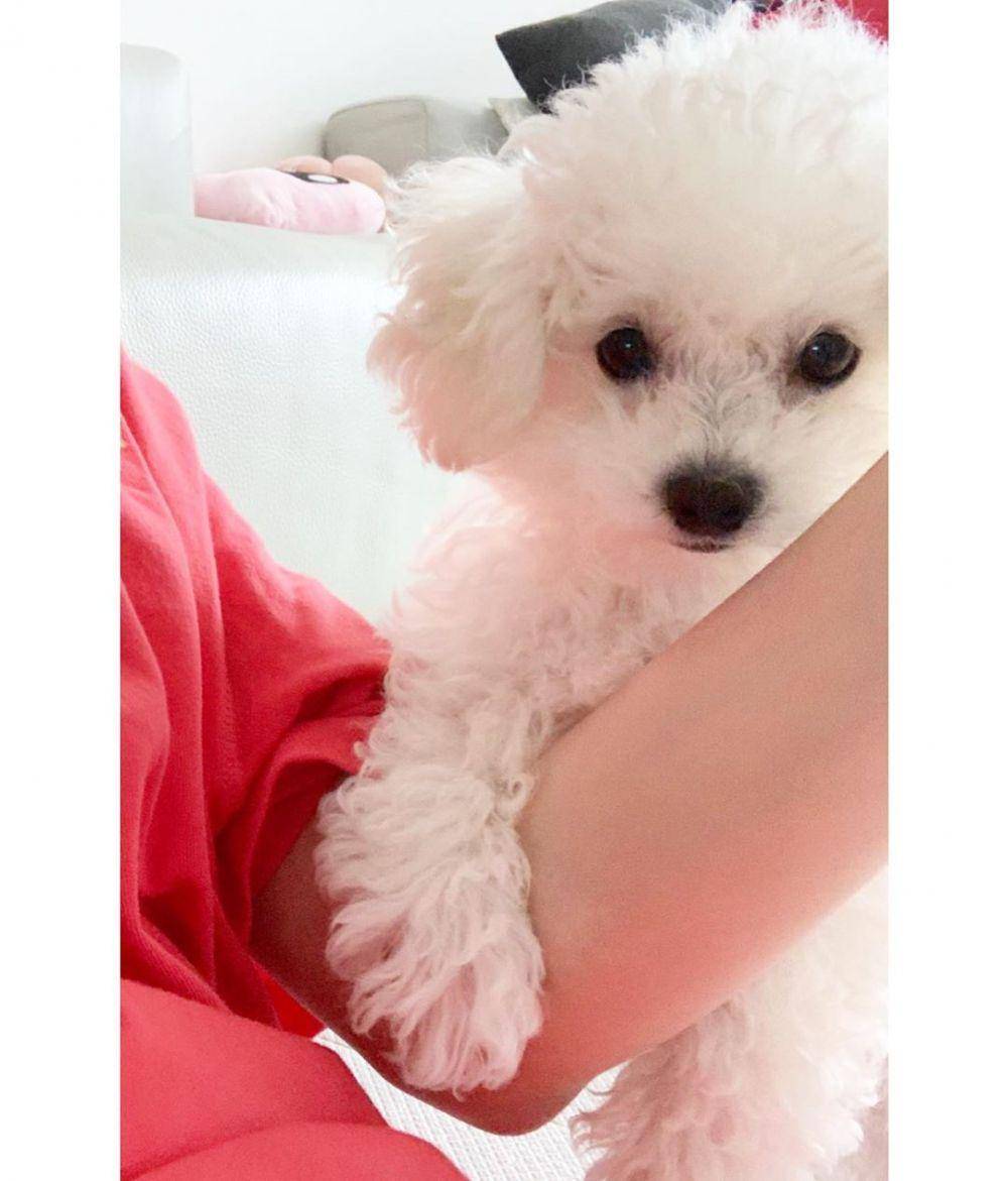 instagram.com/yoona__lim