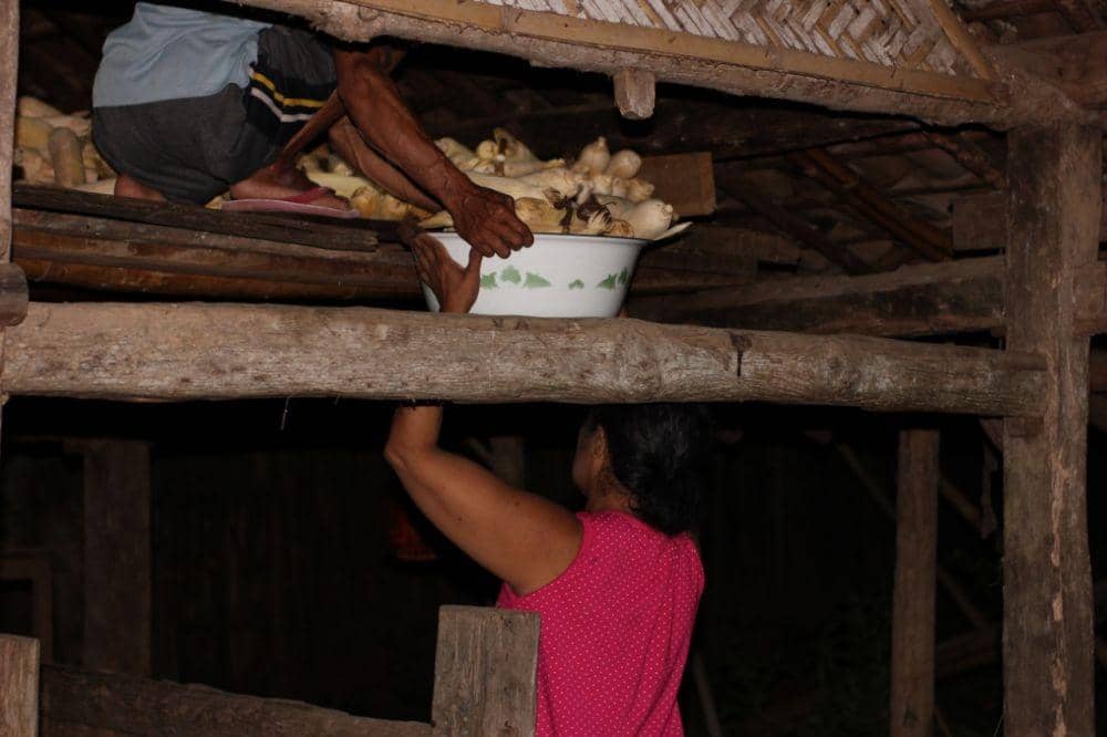 Petani di Banyuwangi saat menyimpan jagung di atas lumbung (jurung). Selama proses menyimpan ada tradisi tidak boleh berbicara. IDN Times/Istimewa