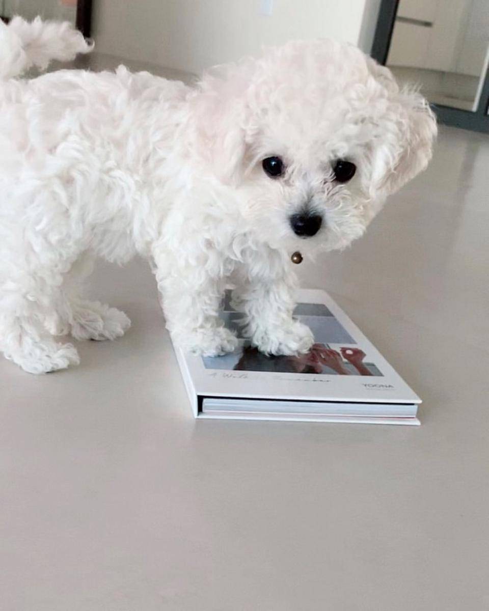 instagram.com/yoona__lim