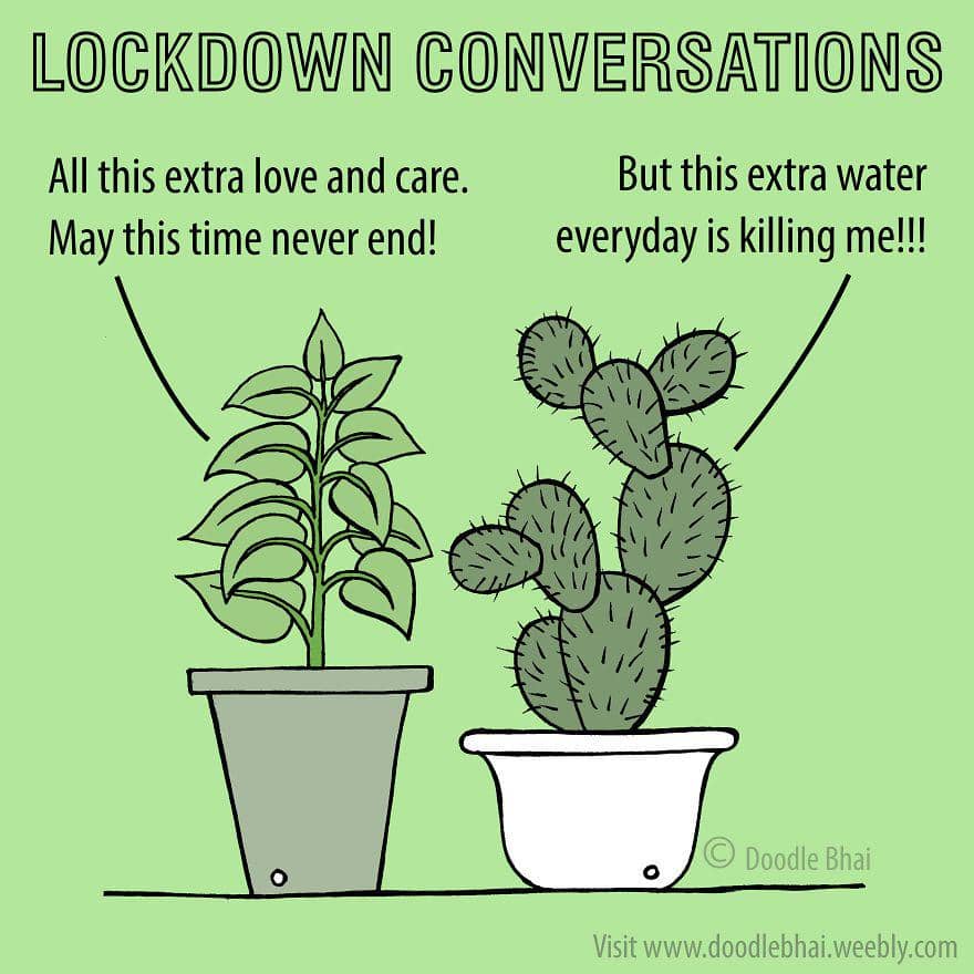 instagram.com/doodlebhai