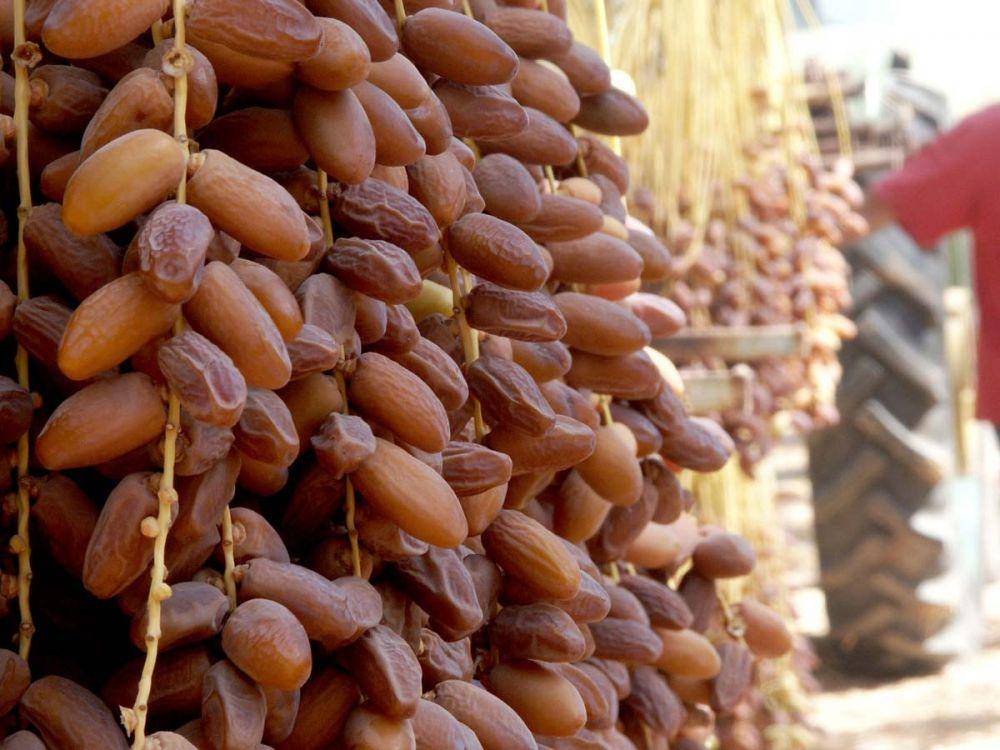 agrifood-marketing.com