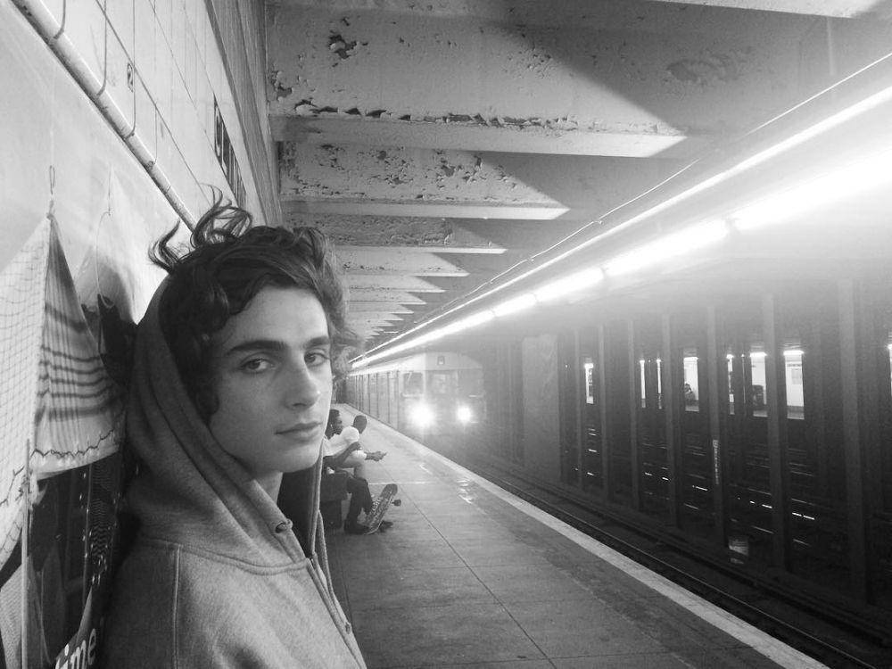 instagram.com/pauline.chalamet