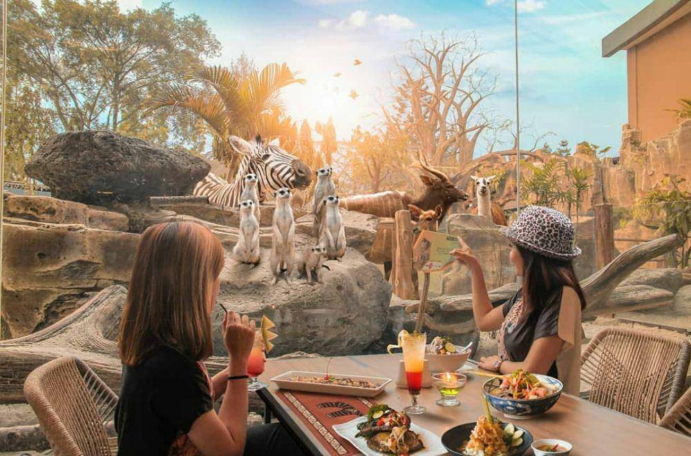 instagram.com/royalsafari_garden