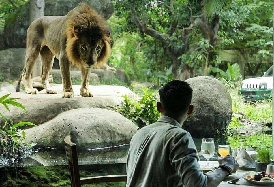 instagram.com/marariversafarilodge
