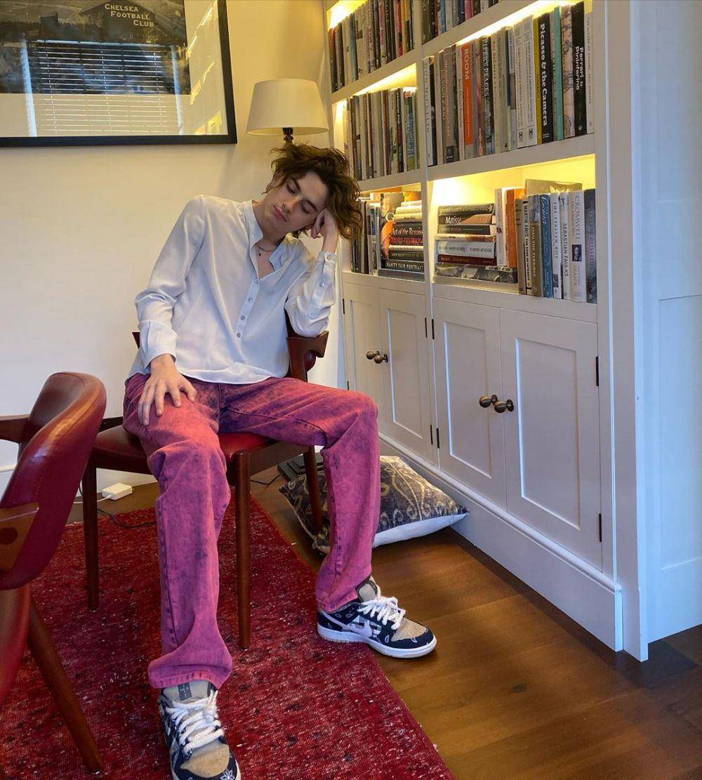 instagram.com/tchalamet